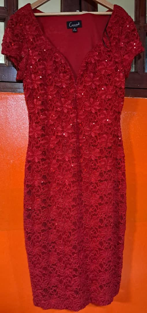 Mini-robe fourreau Marina rouge ornée de sequins